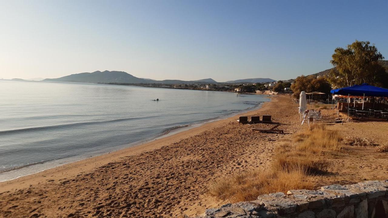 Villa Maria Louiza Near Airport Ártemida Kültér fotó