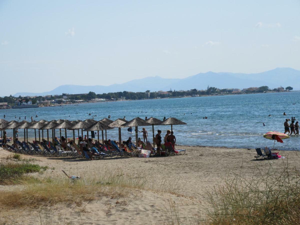 Villa Maria Louiza Near Airport Ártemida Kültér fotó